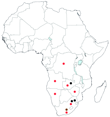 Africa
